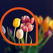 Ein bunter Strauß an Recruiting- und Personalmarkeitng-Maßnahmen